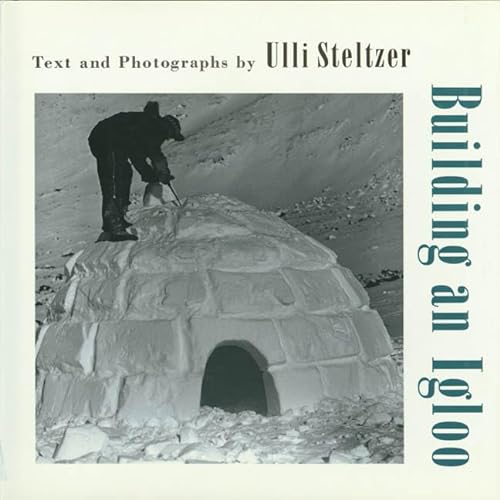 cover image Building an Igloo