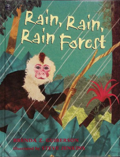 cover image Rain, Rain, Rain Forest