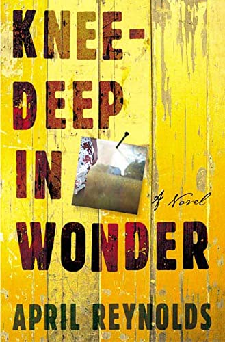 cover image KNEE-DEEP IN WONDER