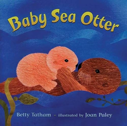 cover image Baby Sea Otter
