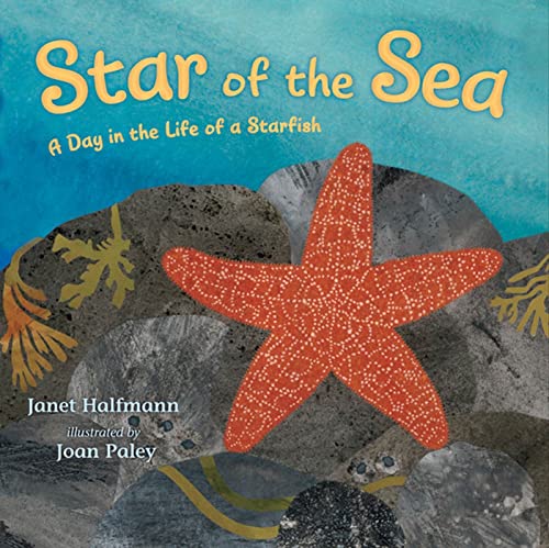 cover image Star of the Sea: A Day in the Life of a Starfish