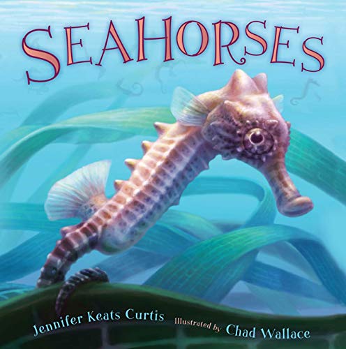 cover image Seahorses