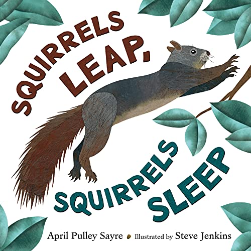 cover image Squirrels Leap, Squirrels Sleep