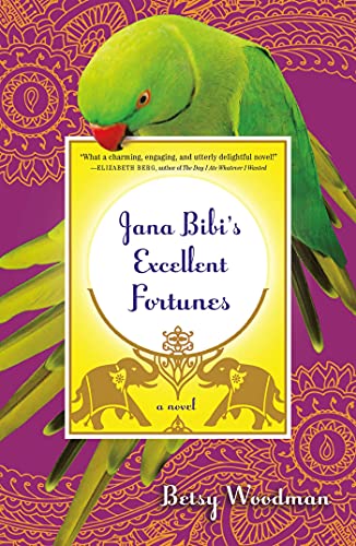 cover image Jana Bibi’s Excellent Fortunes