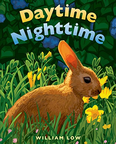 cover image Daytime Nighttime