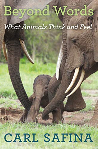 cover image Beyond Words: What Animals Think and Feel