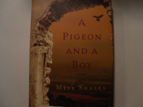 cover image A Pigeon and a Boy