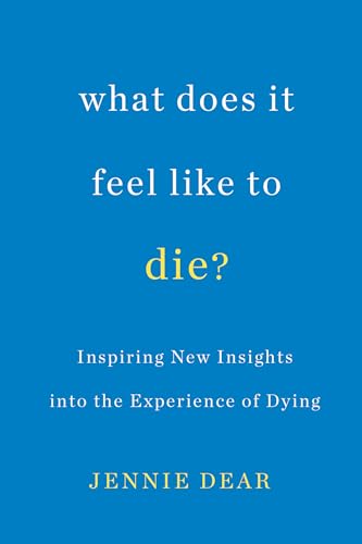 cover image What Does It Feel Like to Die: Inspiring New Insights into the Experience of Dying