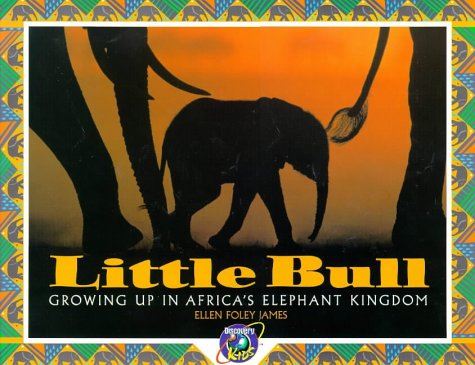 cover image Little Bull: The Story of Little Bull
