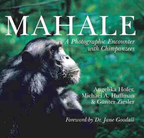 cover image Mahale: A Photographic Encounter with Chimpanzees