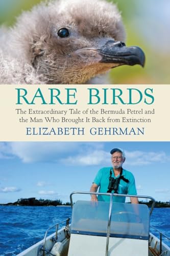 cover image Rare Birds: 
The Extraordinary Tale of the Bermuda Petrel and the Man Who Brought It Back from Extinction