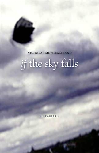 cover image If the Sky Falls