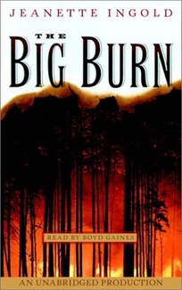 THE BIG BURN