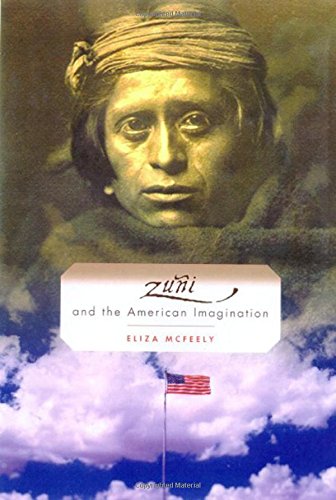 cover image ZUI AND THE AMERICAN IMAGINATION 