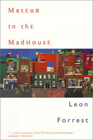 cover image Meteor in the Madhouse