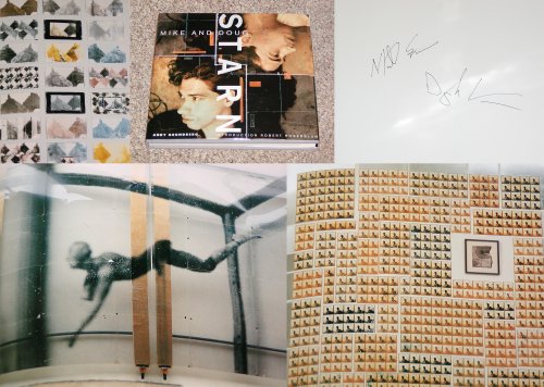 cover image Mike and Doug Starn