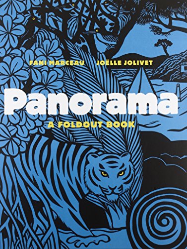 cover image Panorama: A Foldout Book