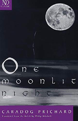 cover image One Moonlit Night