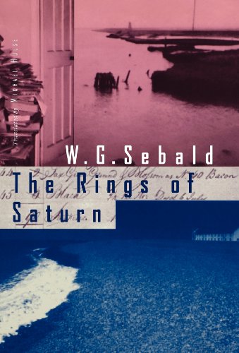 cover image The Rings of Saturn