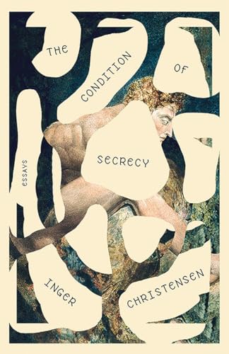 cover image The Condition of Secrecy: Essays