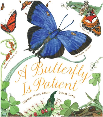 cover image A Butterfly Is Patient