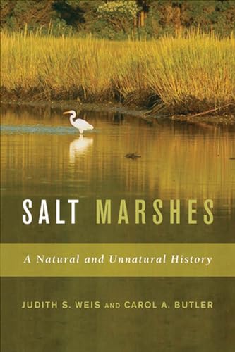 cover image Salt Marshes: A Natural and Unnatural History