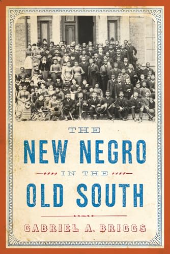 cover image The New Negro in the Old South