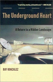 The Underground Heart: A Return to a Hidden Landscape