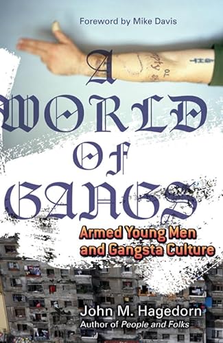 cover image A World of Gangs: Armed Young Men and Gangsta Culture