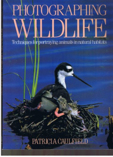 cover image Photographing Wildlife