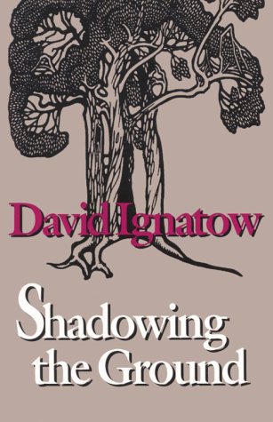 cover image Shadowing the Ground