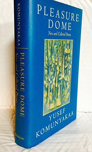 cover image Pleasure Dome