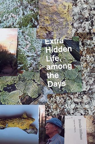 cover image Extra Hidden Life, Among the Days