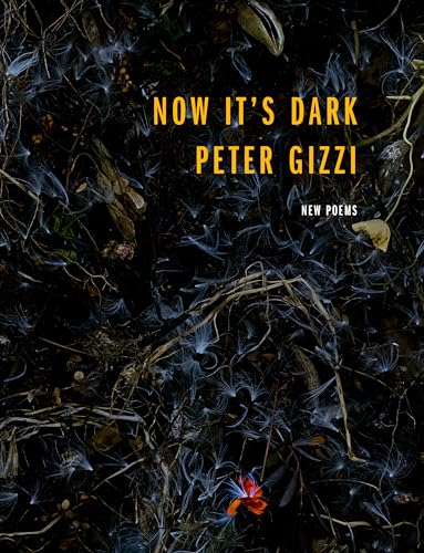 cover image Now It’s Dark