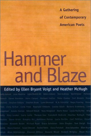 cover image Hammer and Blaze
