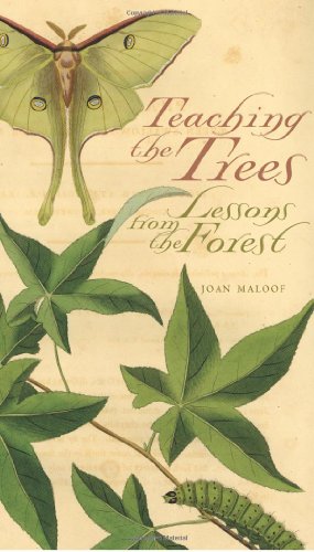 cover image Teaching the Trees: Lessons from the Forest