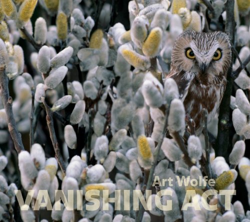 cover image Vanishing Act