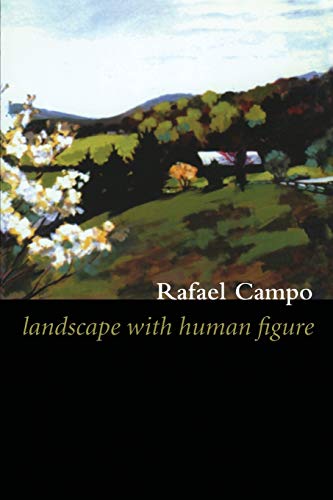 cover image LANDSCAPE WITH HUMAN FIGURE