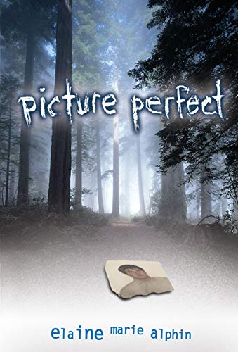 cover image PICTURE PERFECT