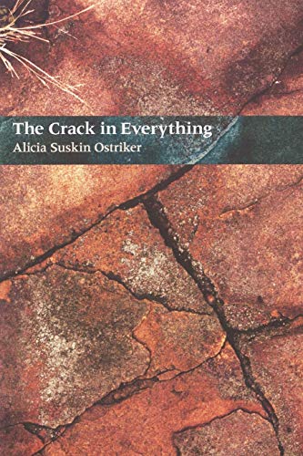 cover image The Crack in Everything