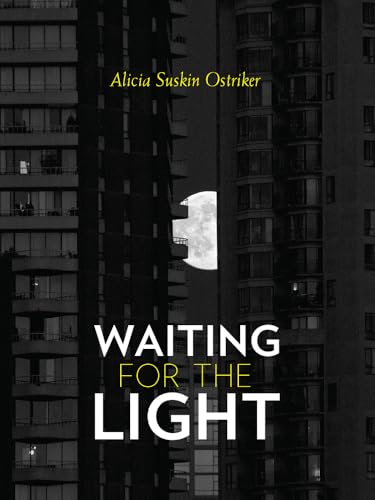 cover image Waiting for the Light