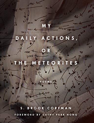 cover image My Daily Actions, or The Meteorites