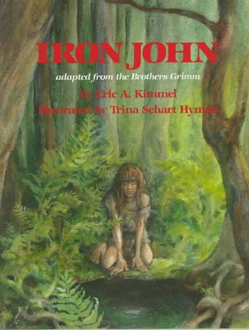 cover image Iron John