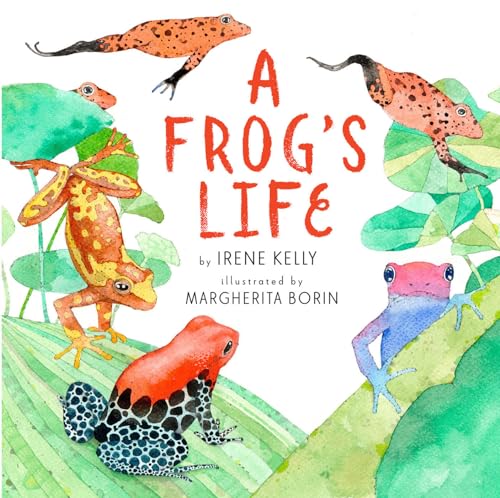 cover image A Frog’s Life