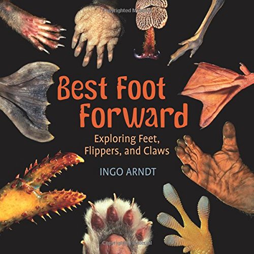 cover image Best Foot Forward: Exploring Feet, Flippers, and Claws