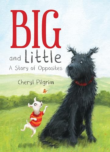 cover image Big and Little: A Story of Opposites