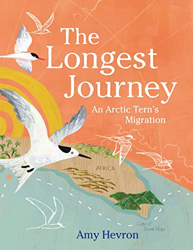 cover image The Longest Journey: An Arctic Tern’s Migration