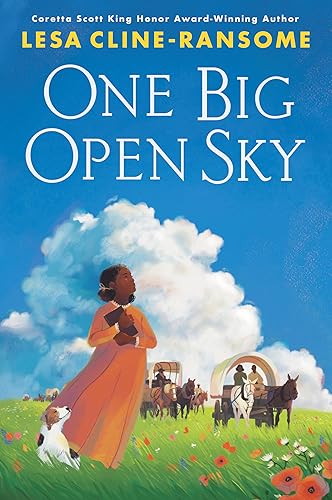 cover image One Big Open Sky