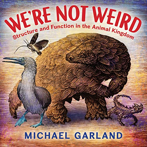 cover image We’re Not Weird: Structure and Function in the Animal Kingdom