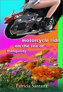 MOTORCYCLE RIDE ON THE SEA OF TRANQUILITY